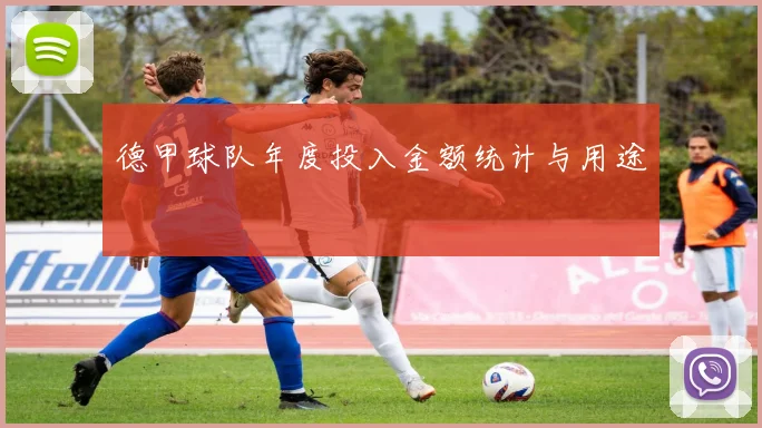 德甲球队年度投入金额统计与用途