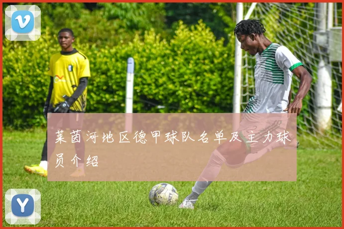 莱茵河地区德甲球队名单及主力球员介绍