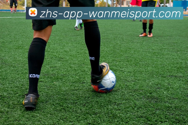 完美体育APP 体育赛事宣传图